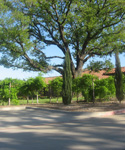 Gulf Coast RV Resort Images